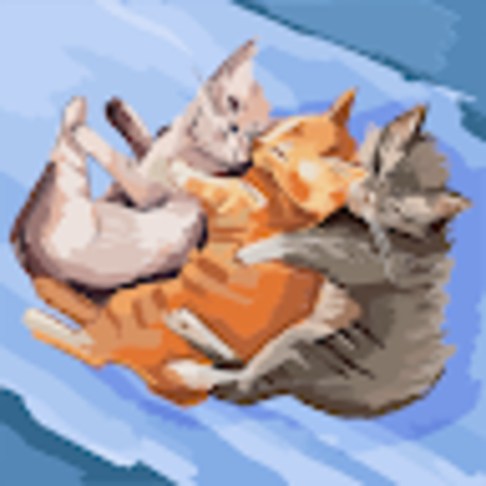 Meet your Posher, Selah